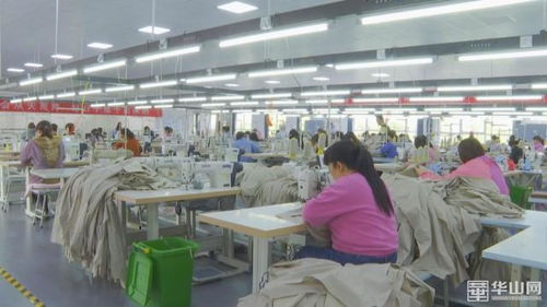 發展進行時 澄城鄉村振興加速跑，教育咨詢服務助力村民生活更美好