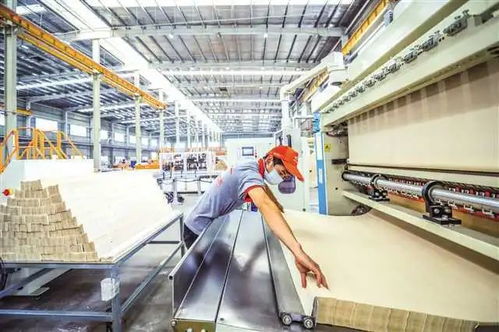 永川 奮力建設(shè)現(xiàn)代制造業(yè)與西部職業(yè)教育新高地